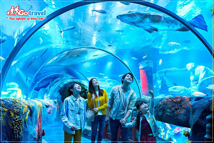 Thủy cung S.E.A Aquarium