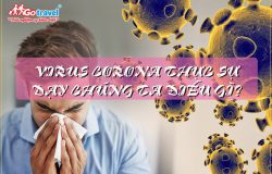 Virus Corona thực sự dạy chúng ta điều gì?